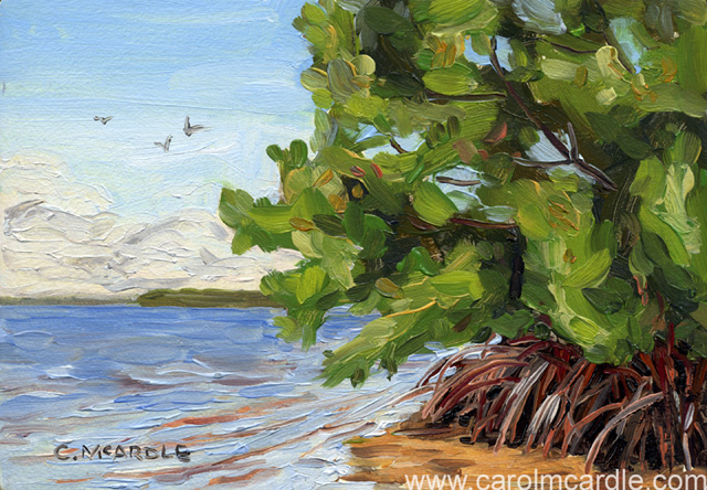 Mangrove Morning 5x7